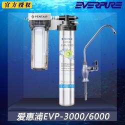 爱惠浦EVP-3000/6000家用厨房大流量净水器