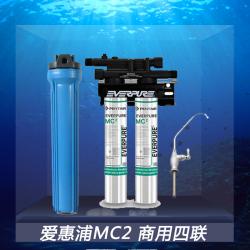 爱惠浦双联商用净水器 20寸前置过滤瓶