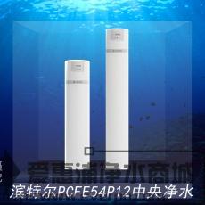滨特尔PCFE54P12型中央净水器